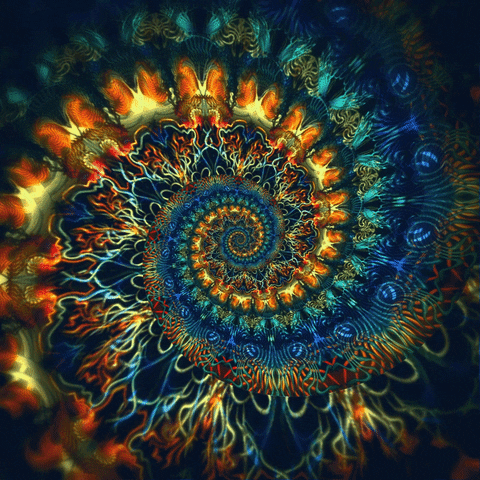 Visual Performance Spinning GIF by Feliks Tomasz Konczakowski