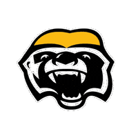Basketball Nba Sticker by Brampton Honey Badgers