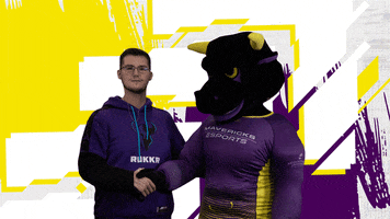 esportsmnsu yes gaming esports gamer GIF