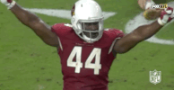 2018 Nfl Football GIF by NFL