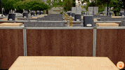 Mystery GIF by MasterChefAU