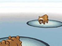 Battle Superpower GIF by Pokémon