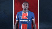 Sport No GIF by Paris Saint-Germain Handball