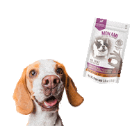 monamimascotas puppy snacks perro mascotas Sticker