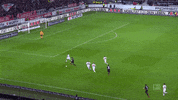 bayer 04 leverkusen kai GIF
