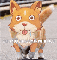 Excited Yes Please GIF by My Time At Portia