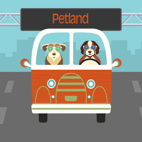 Petlandsummer GIF by Petland Florida