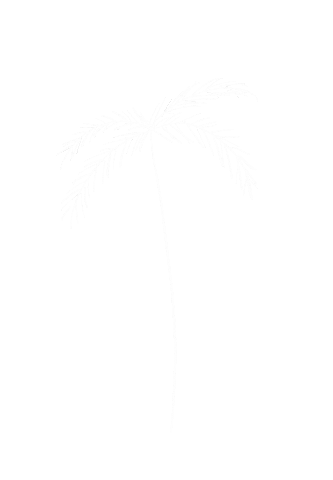 Palm Tree Summer Sticker