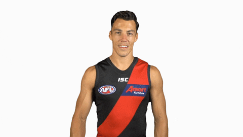 essendonfc giphyupload dons bombers essendon GIF