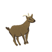 Goat Question Sticker by jugendinfo