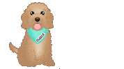 Dog Doodle Sticker by zoopeez