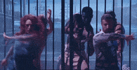 James Hinchcliffe Abc GIF by Dancing with the Stars