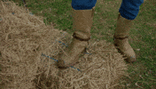Comedy Country GIF by Yle Areena