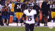2018 Nfl Football GIF by NFL