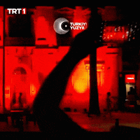 Camera Photo GIF by TRT