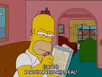 homer simpson GIF
