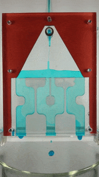 wyss GIF