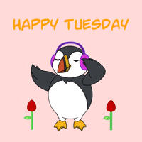 Tuesday Morning GIF by Puffins