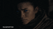 Dune Movie Stare GIF by Warner Bros. Pictures