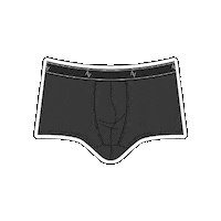 Underwear Sticker by Ven Label