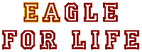 Football College Sticker by BostonCollege