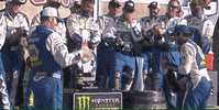 Happy Chase Elliott GIF by NASCAR