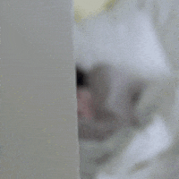 Married At First Sight Lol GIF by Lifetime