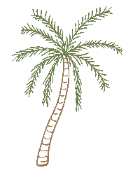 Palm Tree Hawaii Sticker