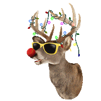 Chill Out Dance Sticker by chris timmons