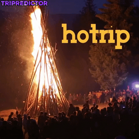camping burning man GIF by tripredictor