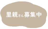 保護犬 Sticker