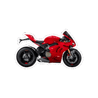 DucatiMotor bike race moto motogp Sticker