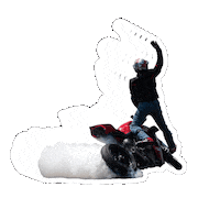 DucatiMotor bike race moto motogp Sticker