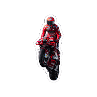 DucatiMotor bike race moto motogp Sticker