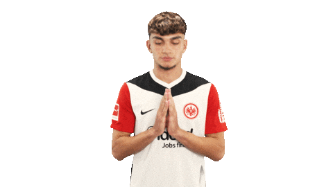 Eintracht Frankfurt Thanks Sticker by Bundesliga