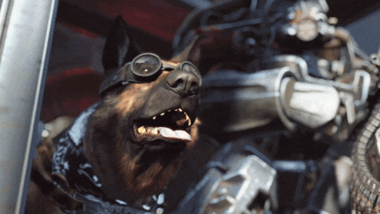 Fallout 4 GIF by Xbox