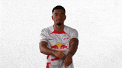 Football Soccer GIF by RB Leipzig