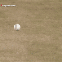 Eagle Lahore GIF