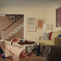 Super Bowl Reaction GIF by Tide