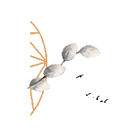 Jesus Easter Sticker by SCM Verlag