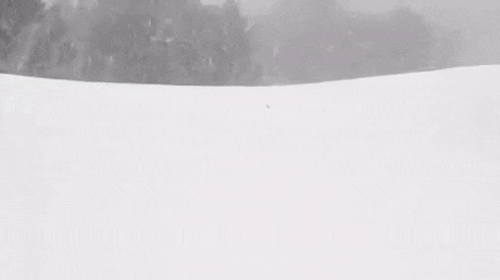 giffunme giphyupload GIF