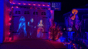 GIF by AtmosFX Digital Decorations