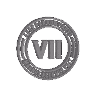 Trance Music Sticker by VII
