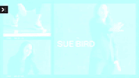 Togethxr - Sue Bird