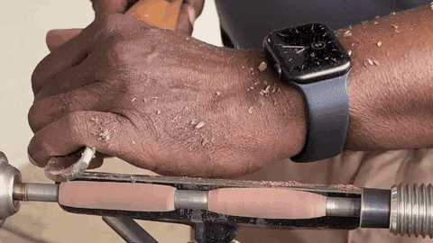CuriousCanary giphyupload GIF