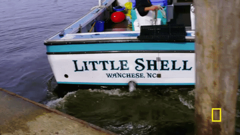 natgeochannel giphygifmaker GIF