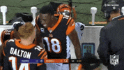 2018 Nfl Football GIF by NFL