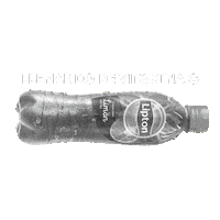 LiptonBrazil te lipton te helado stickerlipton Sticker