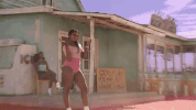 pynk GIF by Janelle Monáe