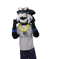 Thunder Bobcats Sticker by Georgia College